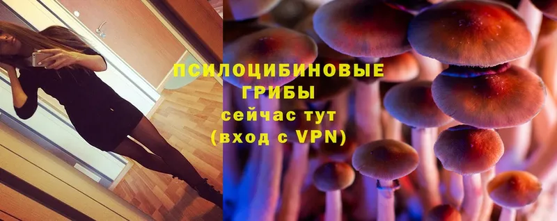 купить закладку  Карабулак  Галлюциногенные грибы Magic Shrooms 